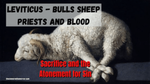 The book of Leviticus and the blood of atonement - lamb bound and ready for sacrifice